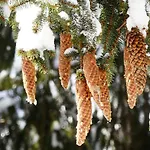 דירה Familie Wetzlinger