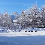 Familie Wetzlinger * באד קליניקירשהיים