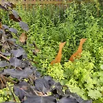 Familie Wetzlinger באד קליניקירשהיים