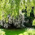 Familie Wetzlinger *