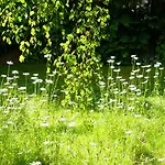 Familie Wetzlinger דירה באד קליניקירשהיים