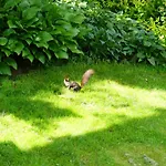 Familie Wetzlinger * באד קליניקירשהיים