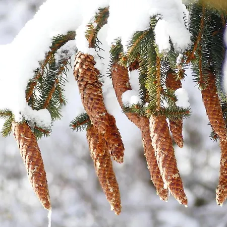 Familie Wetzlinger Bad Kleinkirchheim