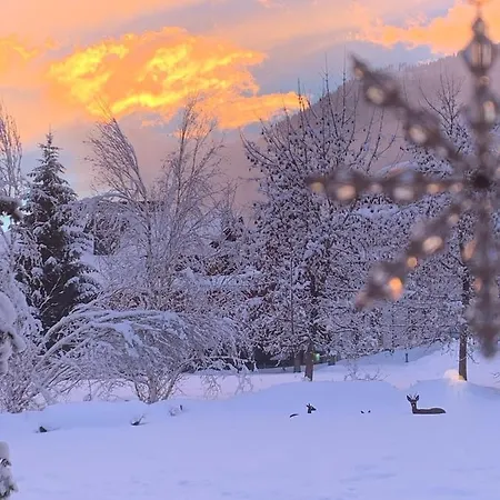Lejlighed Familie Wetzlinger