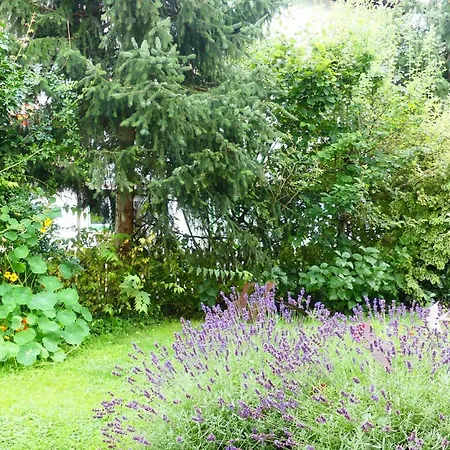 Familie Wetzlinger شقة