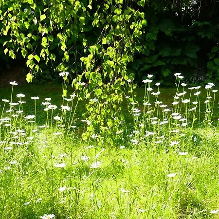 Familie Wetzlinger Lejlighed Bad Kleinkirchheim