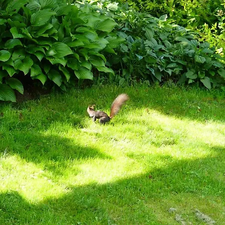 Familie Wetzlinger * Bad Kleinkirchheim