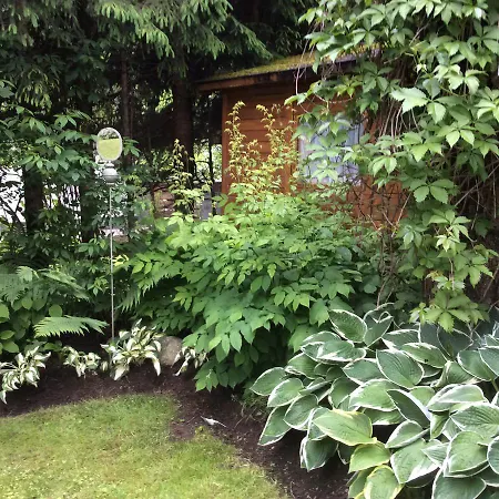 Lejlighed Familie Wetzlinger Bad Kleinkirchheim