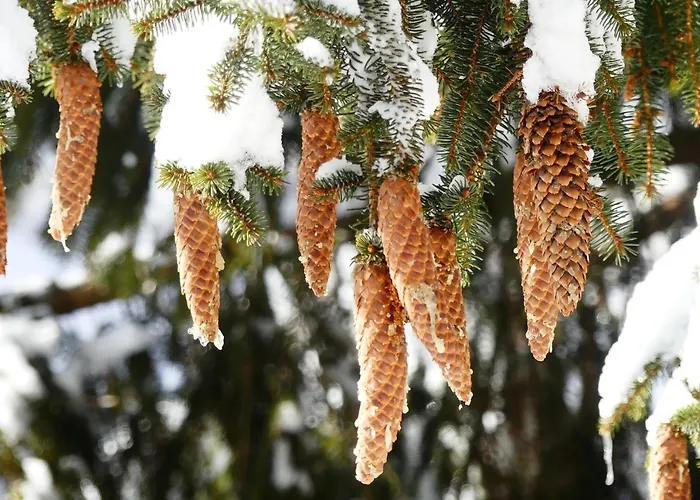 Apartament Familie Wetzlinger