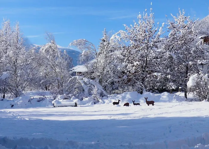 Familie Wetzlinger * באד קליניקירשהיים