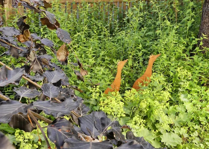 Familie Wetzlinger باد كلينكيرشهايم