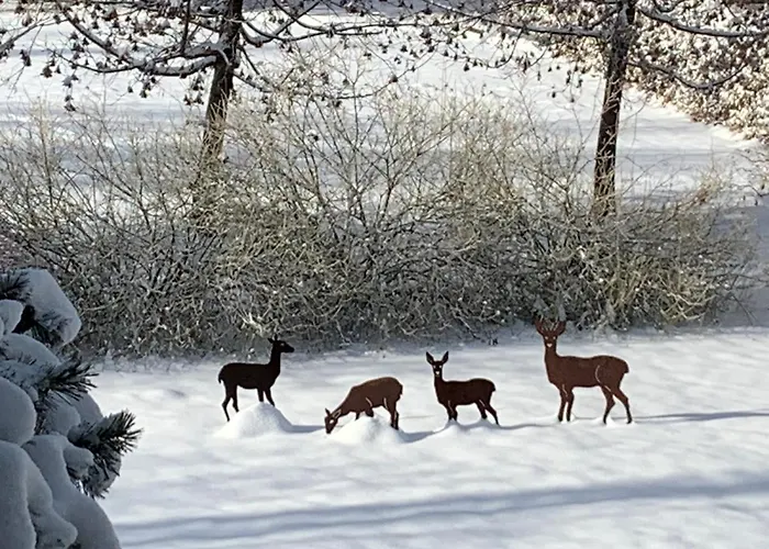 Familie Wetzlinger דירה *