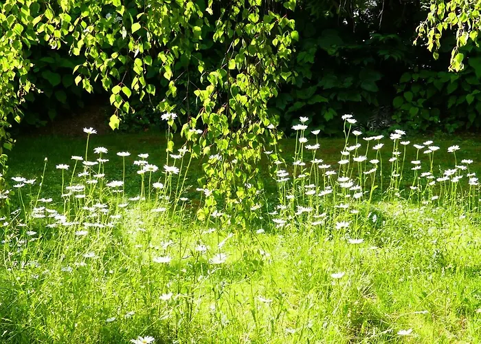 Familie Wetzlinger شقة باد كلينكيرشهايم