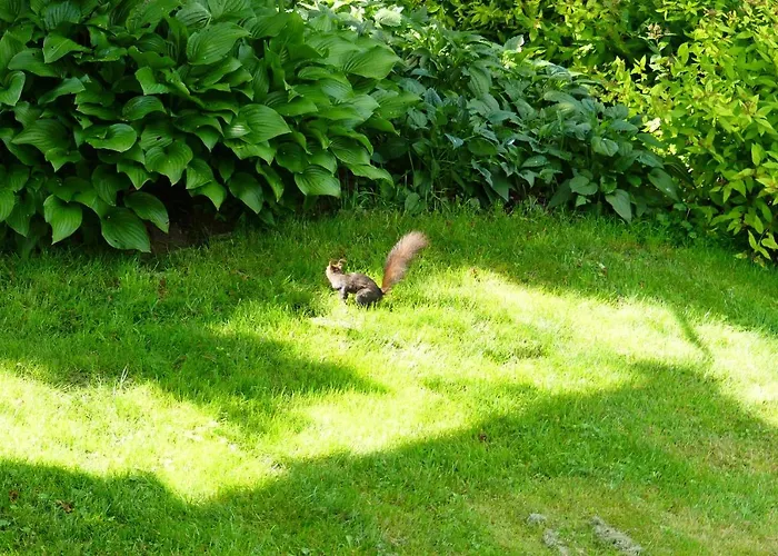 Familie Wetzlinger * باد كلينكيرشهايم