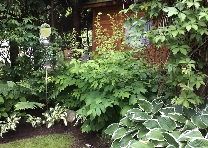 شقة Familie Wetzlinger باد كلينكيرشهايم