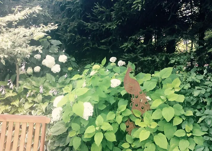 Familie Wetzlinger * باد كلينكيرشهايم